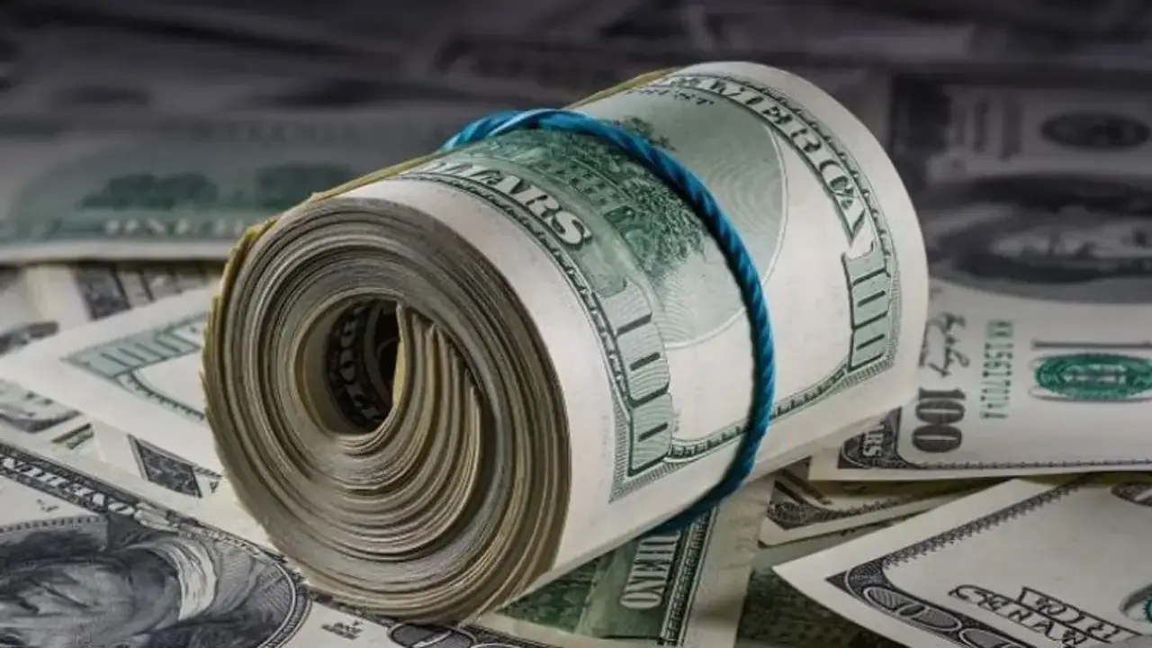 استقرار سعر الدولار في البنوك اليوم السبت 1 أغسطس